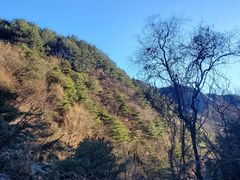 -王顺山国家森林公园