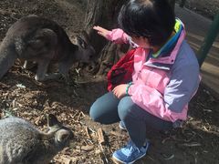 -费瑟代尔野生动物园