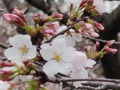 -爷爷的土钵菜(街道口店)