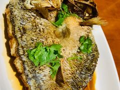 -北镇龙岗子生态园