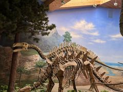 -延庆地质公园博物馆