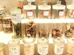 -广东中医药博物馆
