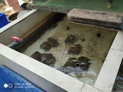 -喜洋洋蟹庄(阳澄湖店)