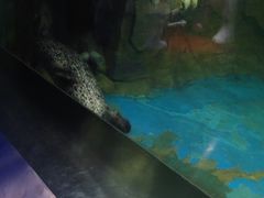 -石家庄海洋公园