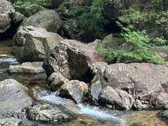 -花岩国家森林公园