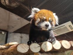 -Zoolung Zoolung动物主题公园(海信广场店)