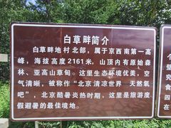 -白草畔自然风景区