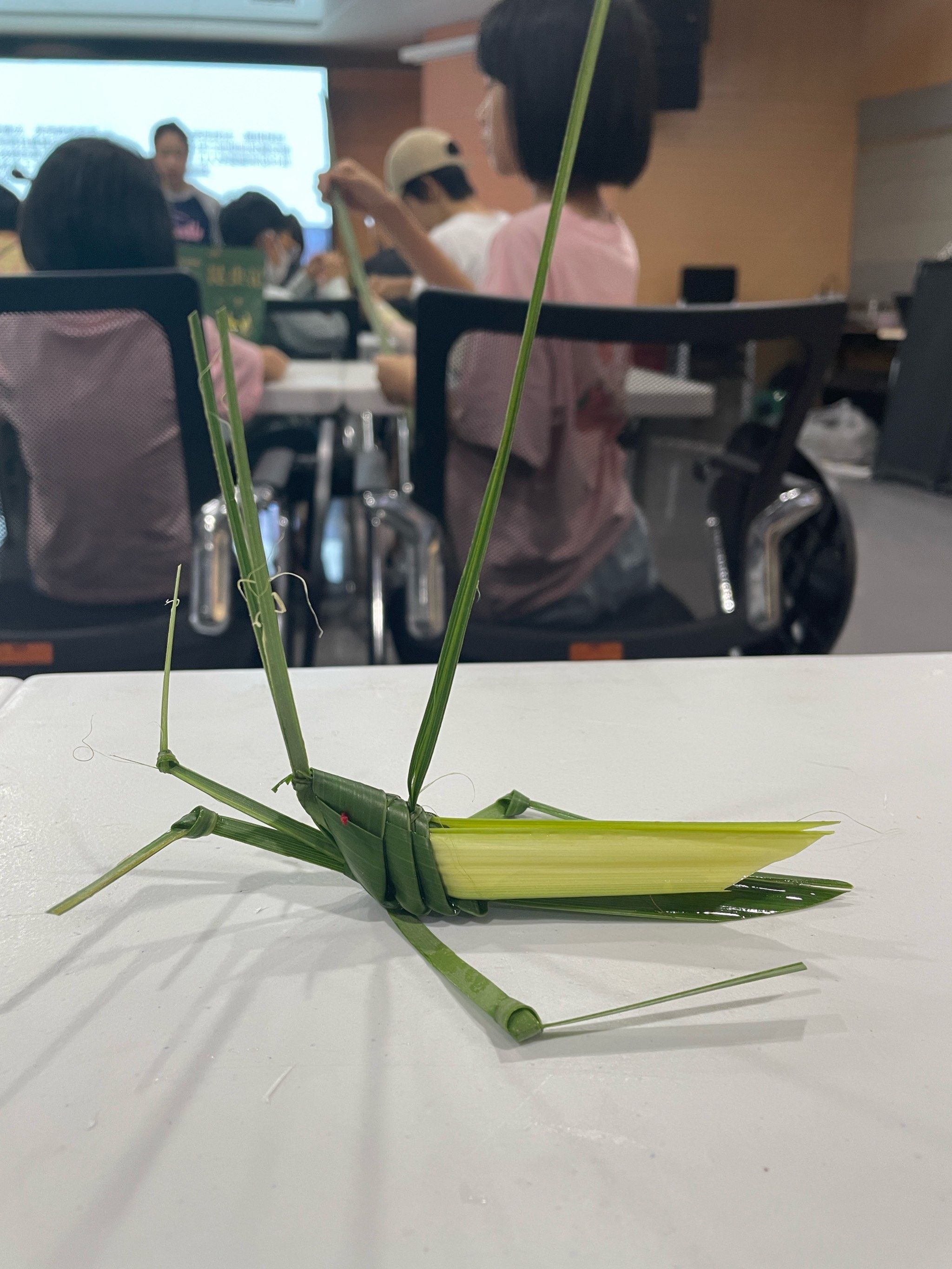 昆虫记08立体画科普展05非遗棕编蚂蚱