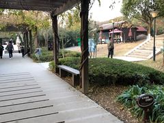-白马涧龙池景区