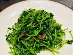 鸡油腊味炒豆苗-潮界(虹桥新天地店)