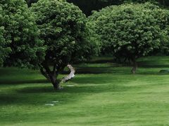 -红花山公园