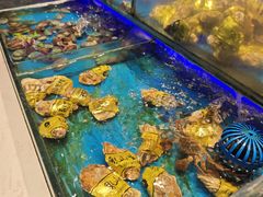 -SEA西雅图海鲜自助餐厅(海乐世界店)