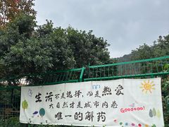 -云河农家乐饭店(福禄缘树山店)