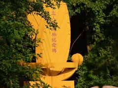 -上海共青森林公园