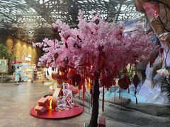 -杭州开元森泊度假乐园