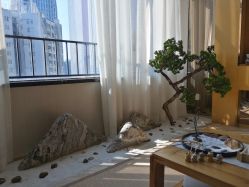 -JNK皮肤管理中心