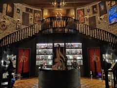 -雪灵魔法世界SHELLY’S TAROT(大良桂畔里店)