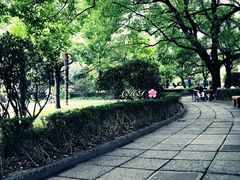 -上海交通大学医学院附属瑞金医院(总院)