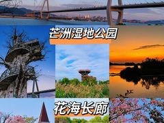 -芒洲湿地公园