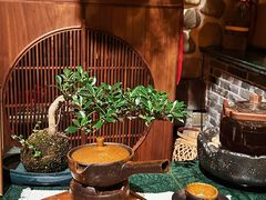 -叶叶菩提(太原别墅店)