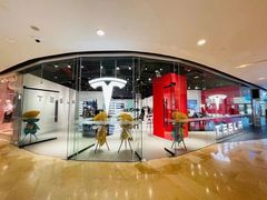 -TESLA 特斯拉(北京颐堤港体验店)