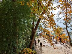 -溪口-滕头旅游景区