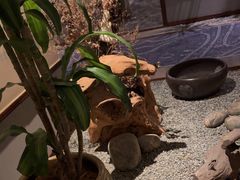 -鼎族怡华·指压·经络·疗愈SPA(紫荆店)