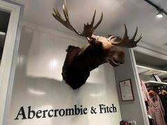 -Abercrombie & Fitch(天环广场店)