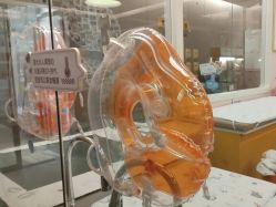 -金芙美月子中心(财富别墅店)