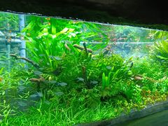 -郑州海洋馆