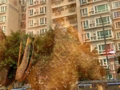 -壹只卤鹅·潮汕菜(莲塘店)