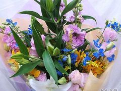 -静岸花卉园艺(三星坊店)