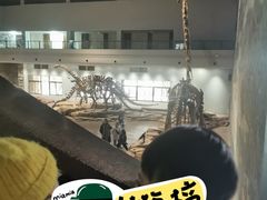 -自贡恐龙博物馆