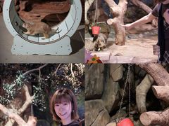 -正佳雨林生态植物园