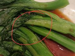 -半岛豪苑酒家(花都店)