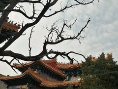 -北京国子监胡同