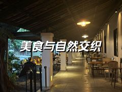 -喜洲吧·江畔老船厂·庭院餐厅(喜临院店)