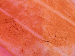 -肉串汪(望京店)