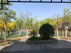 -天津东丽湖风景区