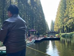 -黄海国家森林公园