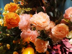 -蜜桃花开·中西融合菜E&W(南长街店)