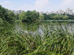 -新江湾城公园