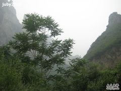 -云台山风景名胜区