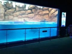 -皇家极地海洋世界-售票处