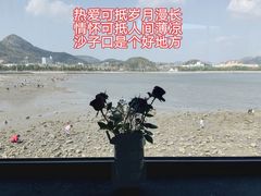 -青岛沙子口国家中心渔港