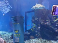 -海合安武汉极地海洋公园
