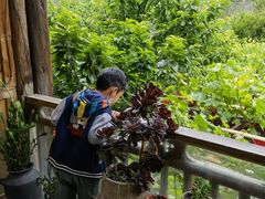 -桃坪羌寨尔玛人家