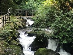 -莫里热带雨林景区