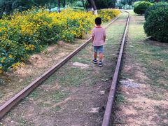 -永定河休闲森林公园