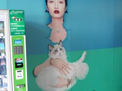 -汇德隆银隆